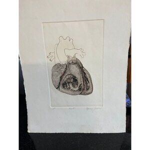 Vintage 1970's Artist Proof AP Artist Rendition Of The Human Heart Signed In Pen